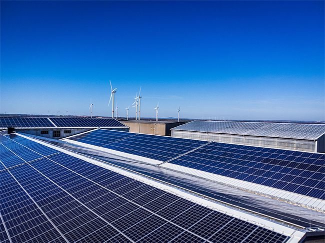Photovoltaikmodule bei sonnigem Wetter